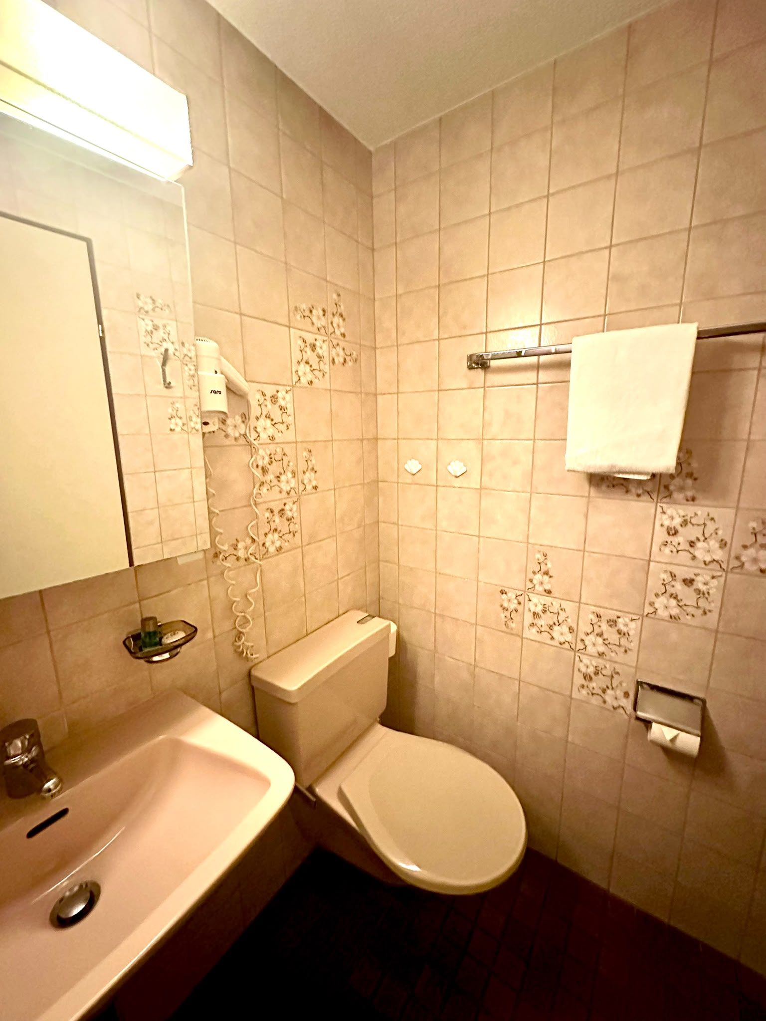 hotel-roessli-campione-gwatt-7